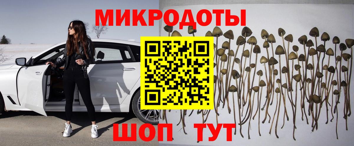 Псилоцибиновые грибы Psilocybe  Псилоцибиновые грибы Magic Shrooms  Вход с VPN  Фурманов 
